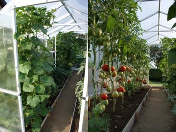 ТЕПЛИЧНОЕ ОКНО С АВТОМАТИЧЕСКИМ БЕЛЫМ ПТФ ПОЛЬША