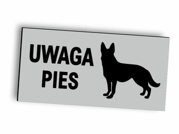 Tabliczka Tablica UWAGA PIES aluminiowa