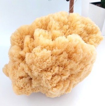 Губка SEA Sponge Natural Grass Тропическая губка среднего размера