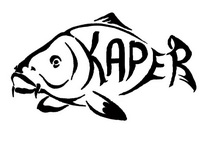 Кепка с логотипом Cygnet Flexi-Fit