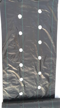 Агроткань с ОТВЕРСТИЯМИ для КЛУБНИКИ 80 см х 10 м