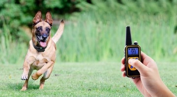 Электрический ошейник для дрессировки собак 800М, пульт дистанционного управления, ремень, подушечки, лампочка