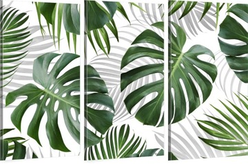 OBRAZY TRYPTYK TRYPTYKI MONSTERA LIŚCIE MAX WYBÓR
