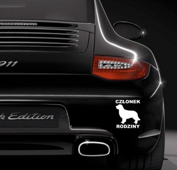 НАКЛЕЙКИ НА АВТОМОБИЛЬ ЧЛЕНА СЕМЬИ