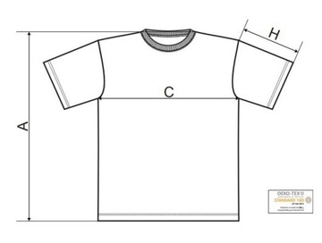 Podkoszulka koszulka t-shirt Męski POMARAŃCZ XXL