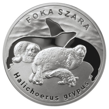 20 ZŁ 2007 FOKA SZARA - MENNICZA NBP !!!
