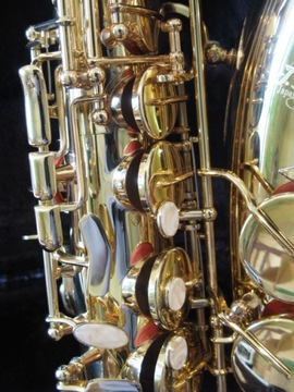 J. MICHAEL AL-500N АЛЬТО-САКСОФОН