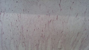 Обезжириватель лака No1 DETOX BLOOD VARNISH