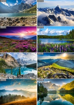 ПОСТЕР ЛЕС ПРИРОДА ТУМАН 70х50 МАКС ВЫБОР