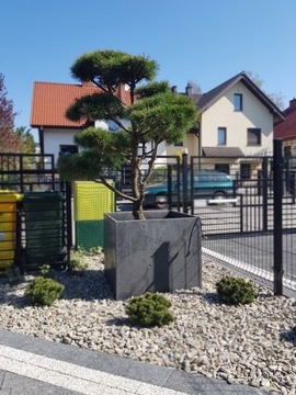 Donica betonowa Box 80x80x70 Szary, impregnacja