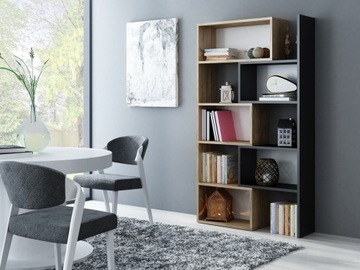 СОВРЕМЕННАЯ ВЫДВИЖНАЯ ПОЛКА