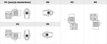 Motoreduktor przekładnia ślimakowa CMI-S 40