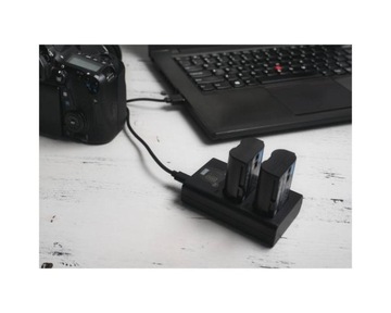 Зарядное устройство NEWELL DL-USB-C — Sony NP-FW50 (A7 A7II)