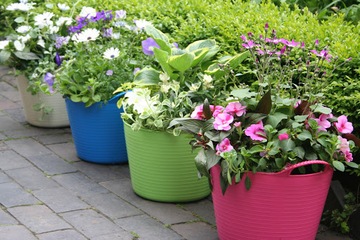 КОНТЕЙНЕРНОЕ ВЕДРО ГИБКАЯ КОРЗИНА 120 КГ 42 Л ФИСТАШКИ