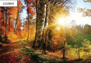 Фотообои на заказ ЛЕС В МОГе оптические FLIZ HD