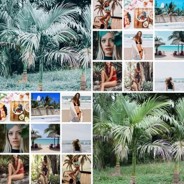 Lightroom ПРЕСЕТЫ Instagram фильтры Facebook