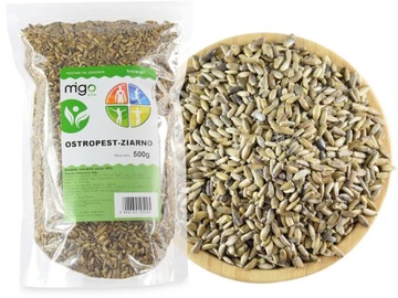 OSTROPEST PLAMISTY ZIARNO - 500g