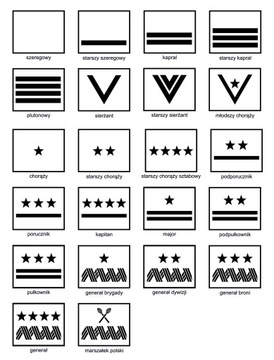 ФУТБОЛКА ВОЕННАЯ РАНГ + ИМЯ Тезка WP хаки мужская техническая