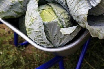 САДОВАЯ тачка STRONG 150L ДВУХКОЛЕСНАЯ Тачка