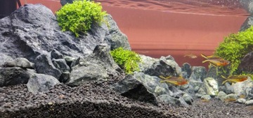 GREEN ROCK GREEN ROCK 15 кг 5-10-15-20см