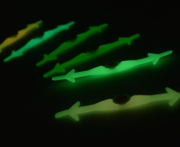 СВЕТЯЩИЕСЯ СИЛИКОНОВЫЕ шнурки SHOES без завязывания шнурков.