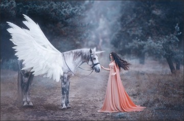 Fototapeta na wymiar wróżka elf jednorożec unicorn
