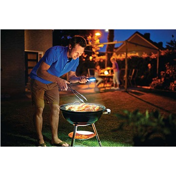 PHILIPS Penlight Retail 6 светодиодная лампа для мастерской