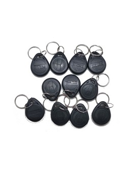 RFID-БРЕЛОК УНИКАЛЬНЫЙ 125 кГц EM4100 C x100