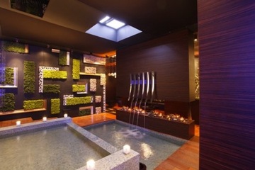 Kominek elektryczny Dimplex 3D do zabudowy Juneau