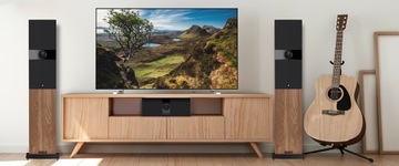 ПАРА НАПОЛЬНЫХ ДИНАМИКОВ FYNE AUDIO F303 ЧЕРНЫЙ ЯСЕНЬ
