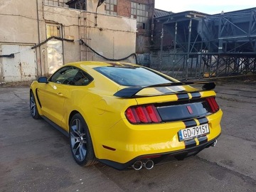 Новый диффузор с насадками GT350 для труб Mustang 4