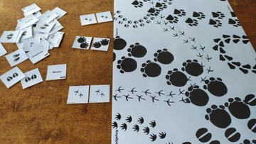 Отпечатки лап и следы животных BIG MAT 50x250