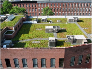 Фольга 20 для зеленой кровли с геотекстилем AJJ 1м2