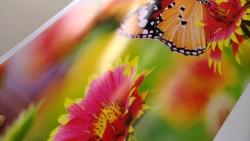 ФОТО ФОТО ФОТО ПЕЧАТЬ ПЕЧАТЬ 50x70 XL