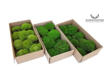 Подушка Мосс Светло-Зеленый, коробка 200г НЕТТО