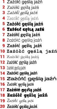 Талисман в виде плюшевого медведя с нанесенной фотографией LOGO