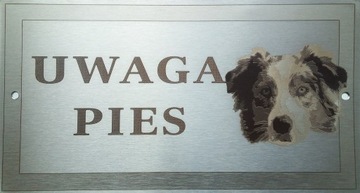 Tabliczka nierdzewna - Owczarek Australijski