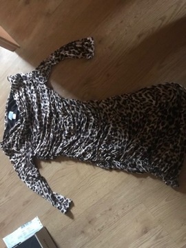 Sukienka bandażowa H&M panterka leopard 34 xs