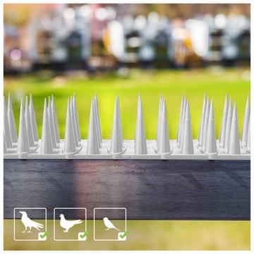 NAJWYŻSZE KOLCE LISTWA NA PTAKI PRZECIW GOŁĘBIOM