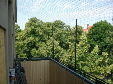 ЦВЕТНАЯ СЕТКА 3х8 для кошек, балконов, голубей