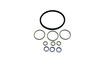 ORINGI POMPY WTRYSKOWEJ 2.0 DCI LAGUNA III BOSCH