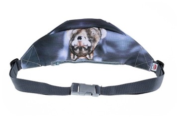 Модная детская поясная сумка Snow Wolf Venice