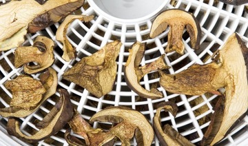 Suszarka spożywcza MPM MSG-02 400 W