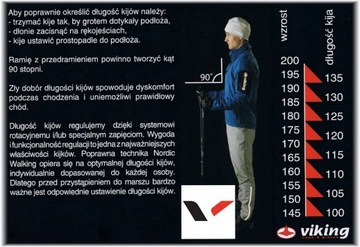 Палки для скандинавской ходьбы Viking Pro-Trainer 105 см
