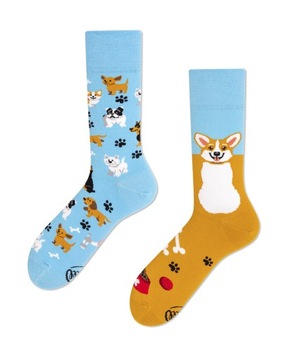 Skarpety MANYMORNINGS Playful Dog 39-42