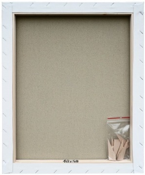 DaVINCI PODOBRAZIE BLEJTRAM 40x50 PODOBRAZIA 40/50