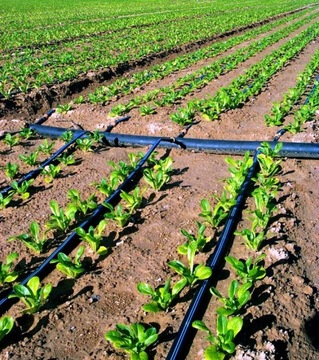 Комплект для полива ПОЛИВ САДОВ 100 м проф