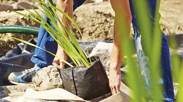 СУМКА ДЛЯ ВОДНЫХ РАСТЕНИЙ 10 Л