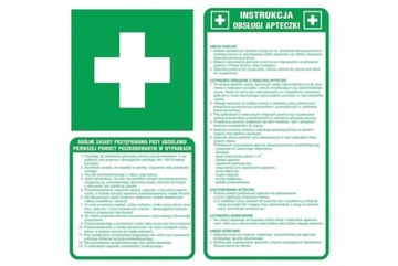 INSTRUKCJA ZASAD UDZIELANIA POMOCY IB009 FS
