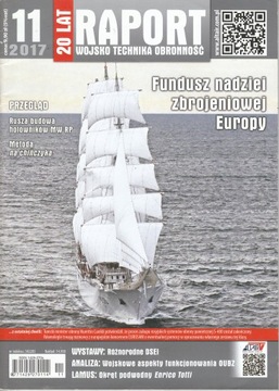 RAPORT 11/2017 PL